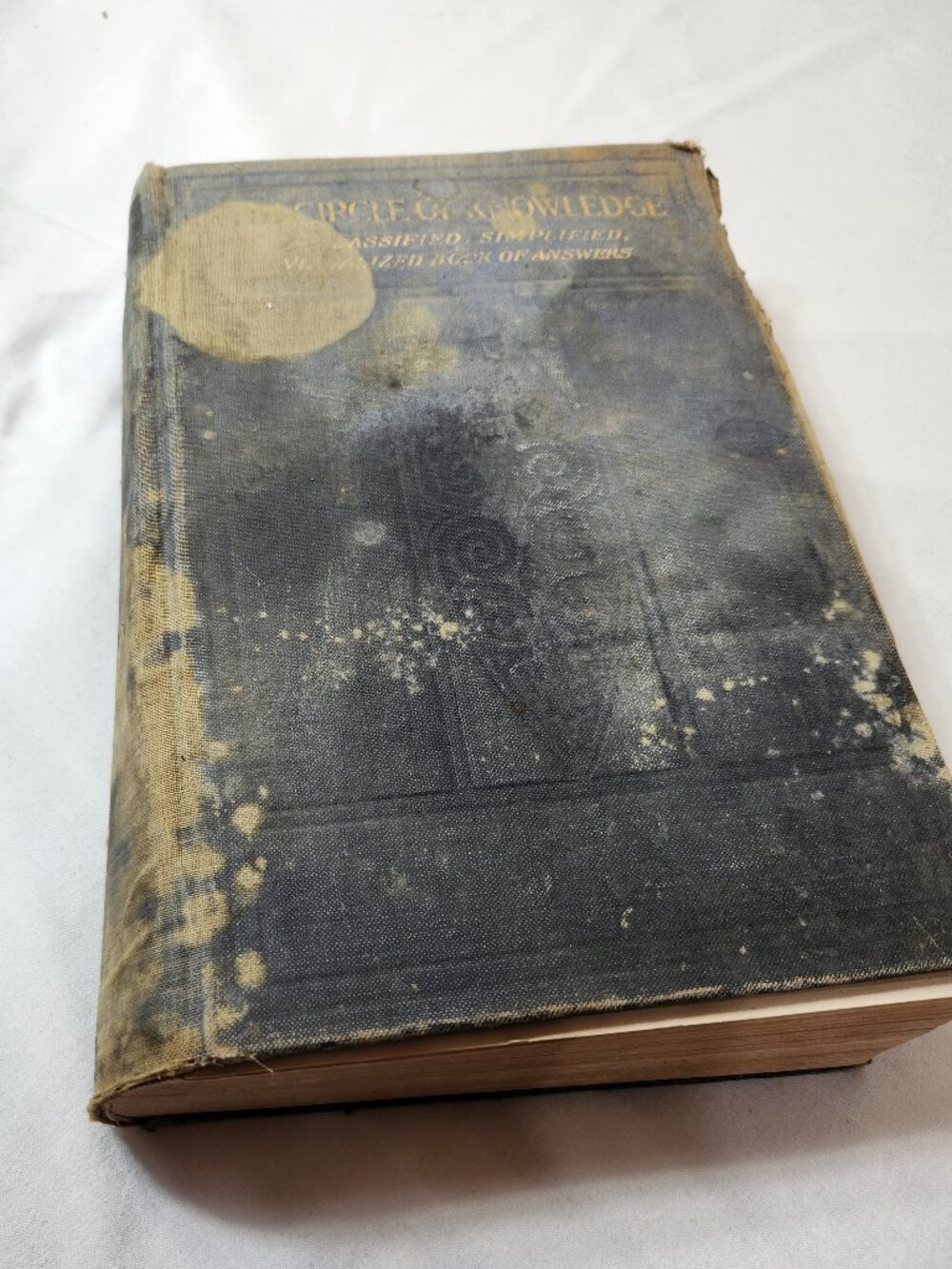 The Circle of Knowledge 1924